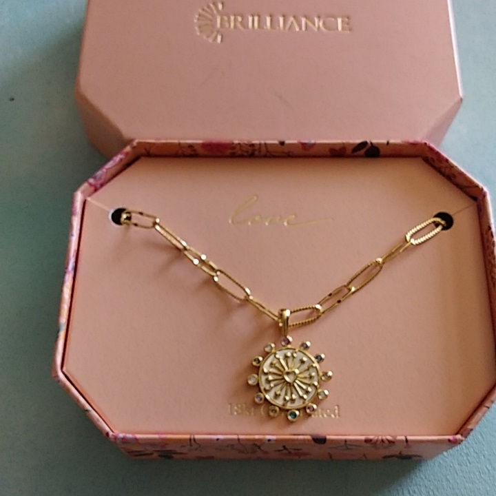 Brilliance 18kt. Gold Plated Necklace Mother Of Pearl Heart Paperclip Link Chain
